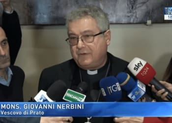 nerbini 2